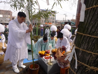 정월대보름 당산제 대표이미지