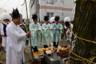 2016년 천왕메기 비산농악 정월대보름 동제(당산목) 대표이미지